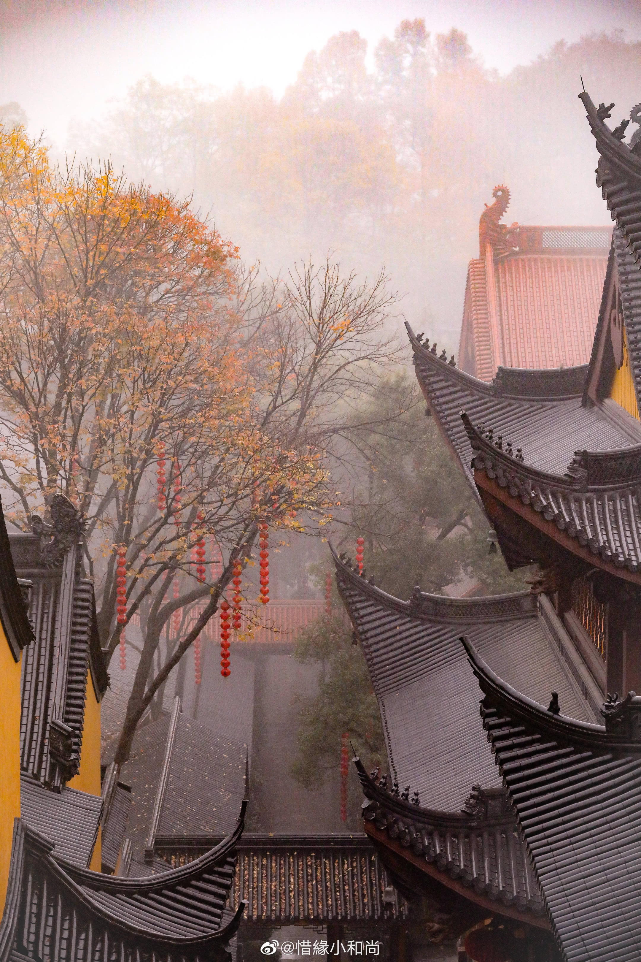 杭州上天竺法喜寺