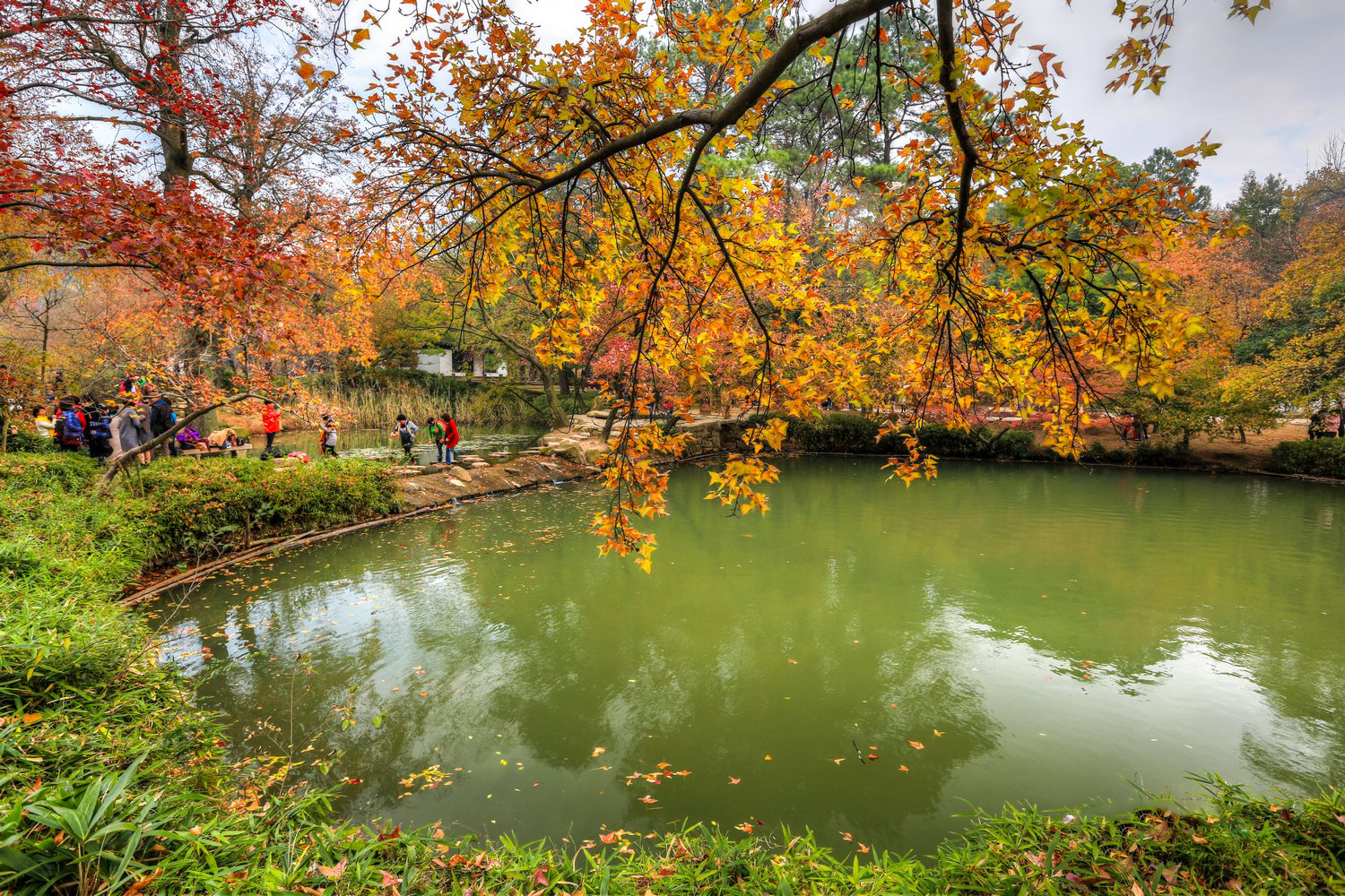 江苏苏州天平山风景实拍