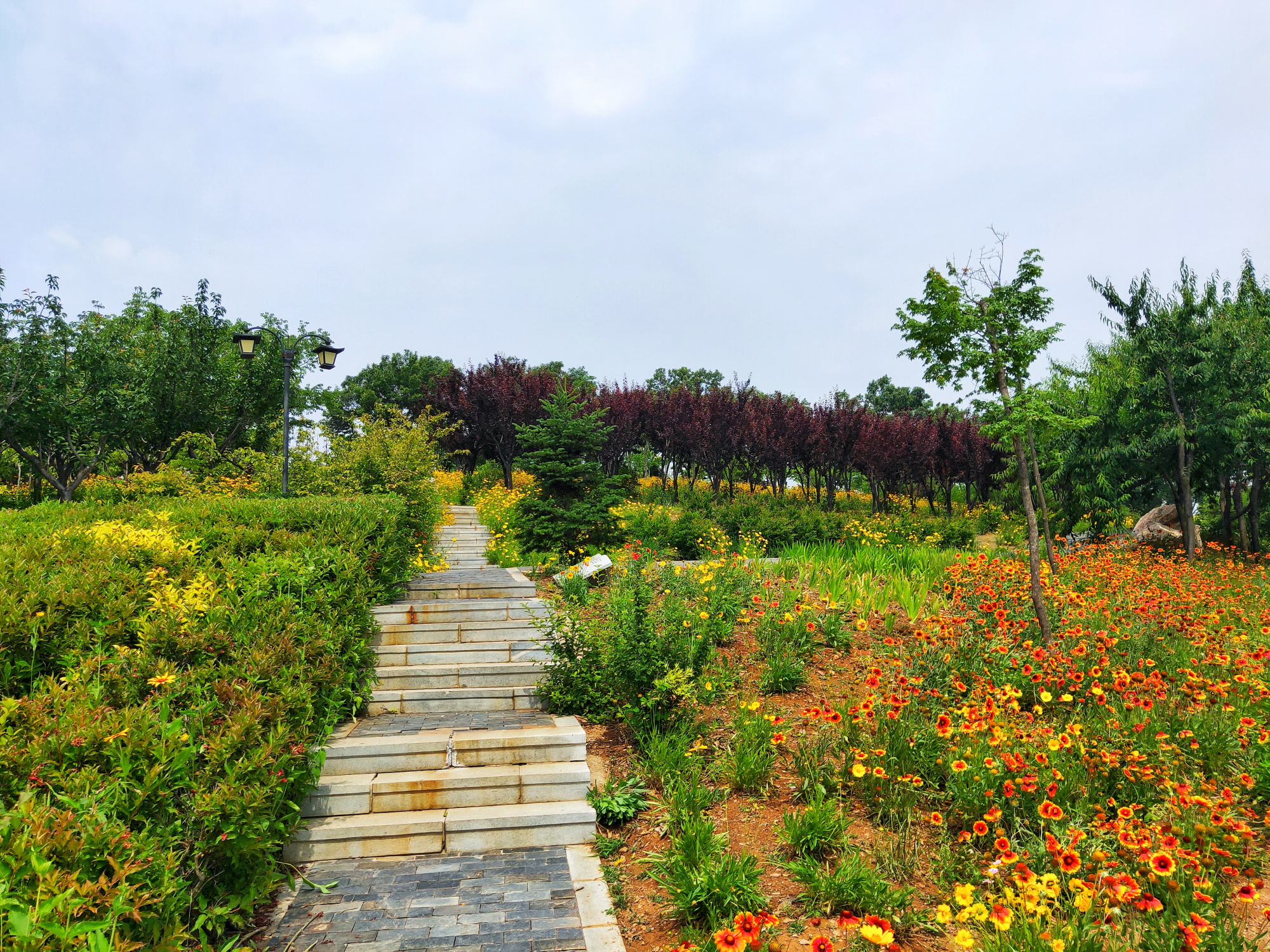 大连董家沟植物园