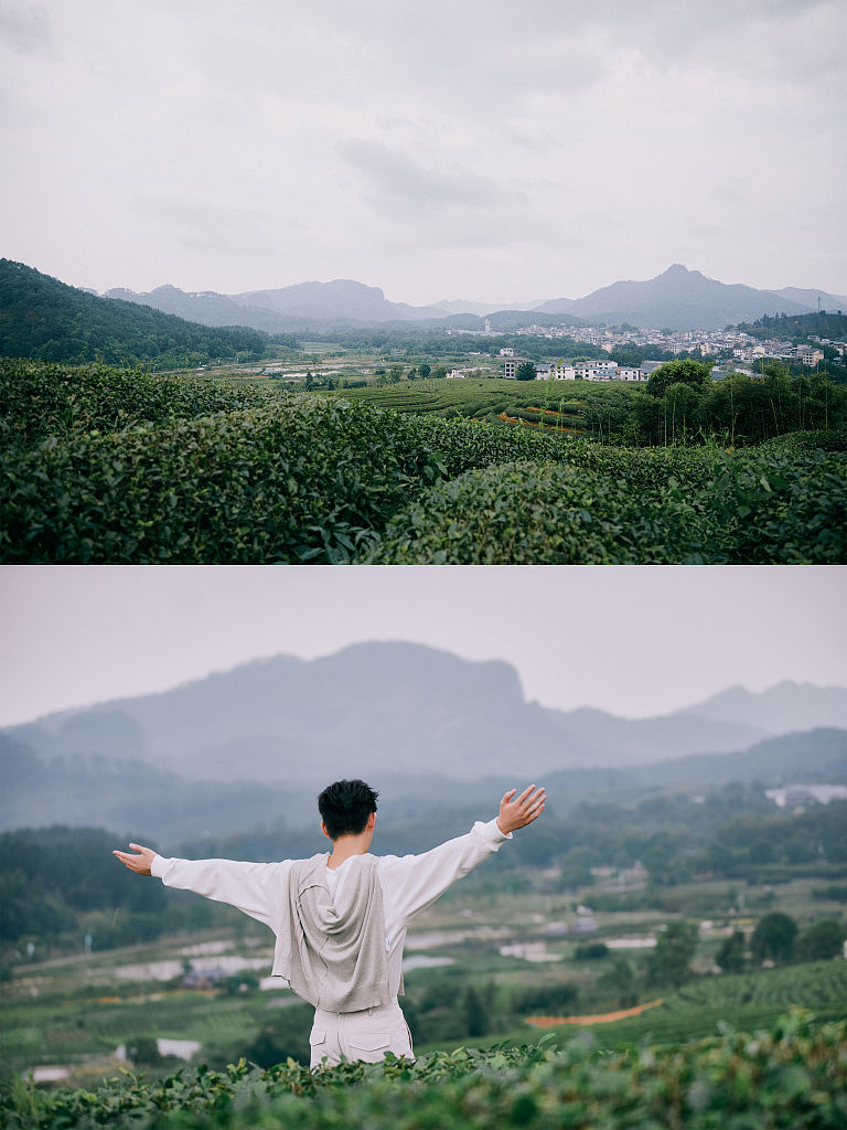 陈飞宇茶园写真意境十足 山野采茶体验超接地气