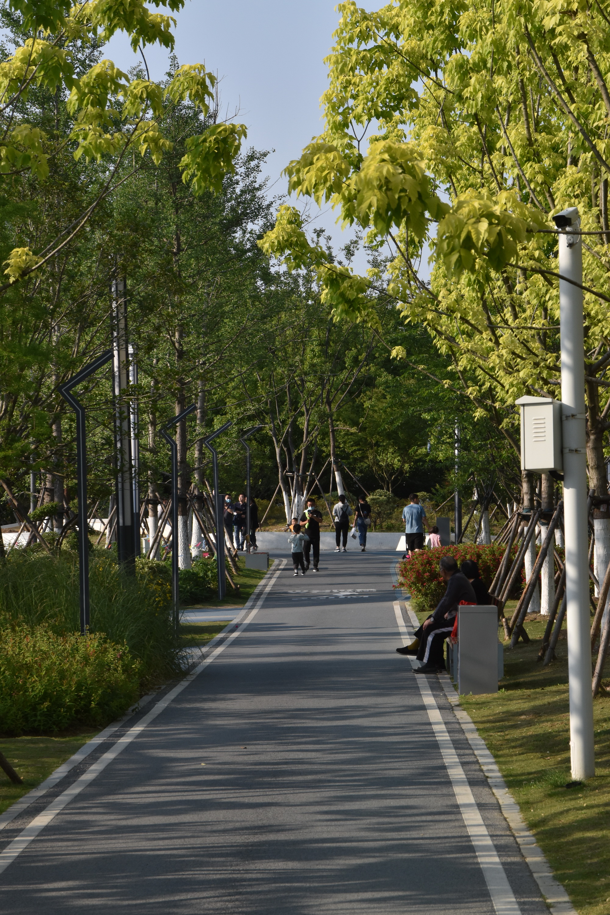 合肥市蜀山区石台路公园