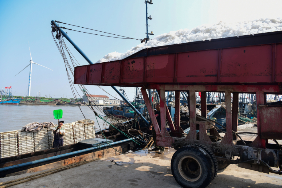 图集丨开海啦!寿光羊口港350余艘渔船拔锚启航