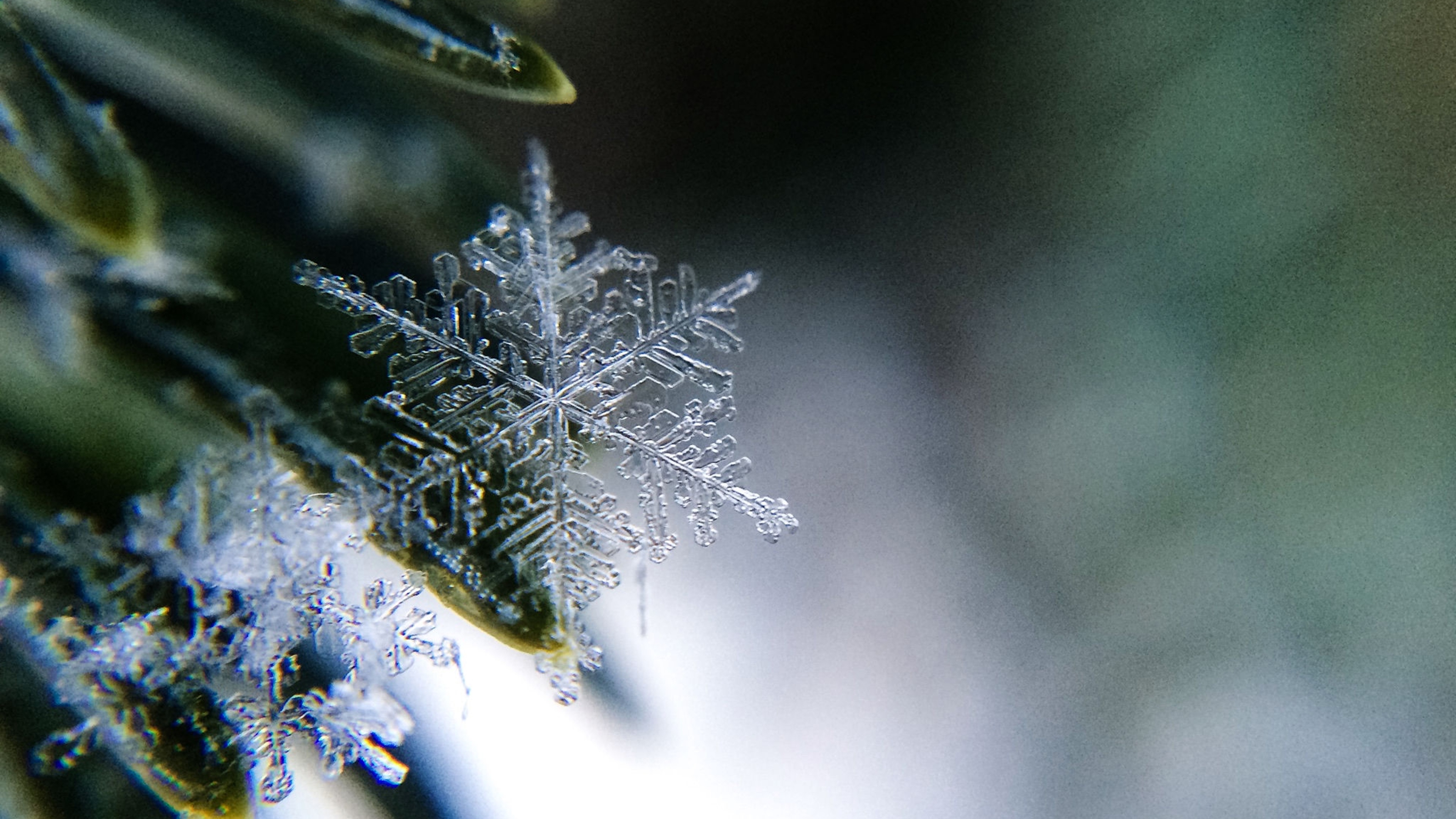 微距镜头下的雪花结晶