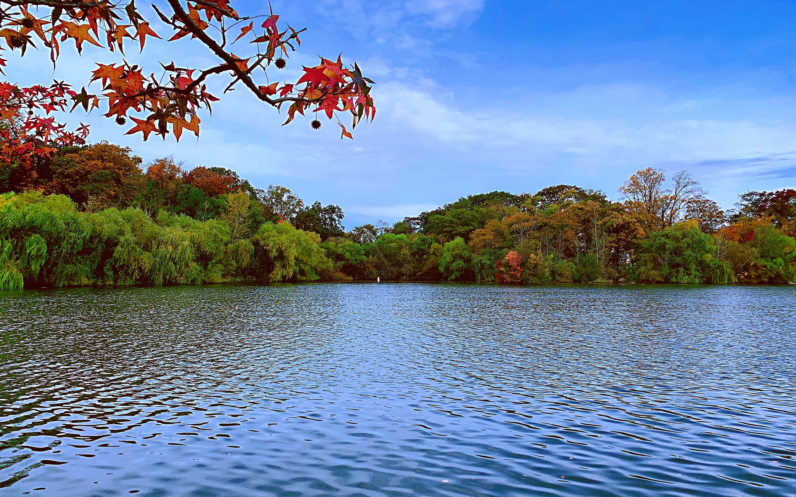 秋日湖泊唯美自然景色
