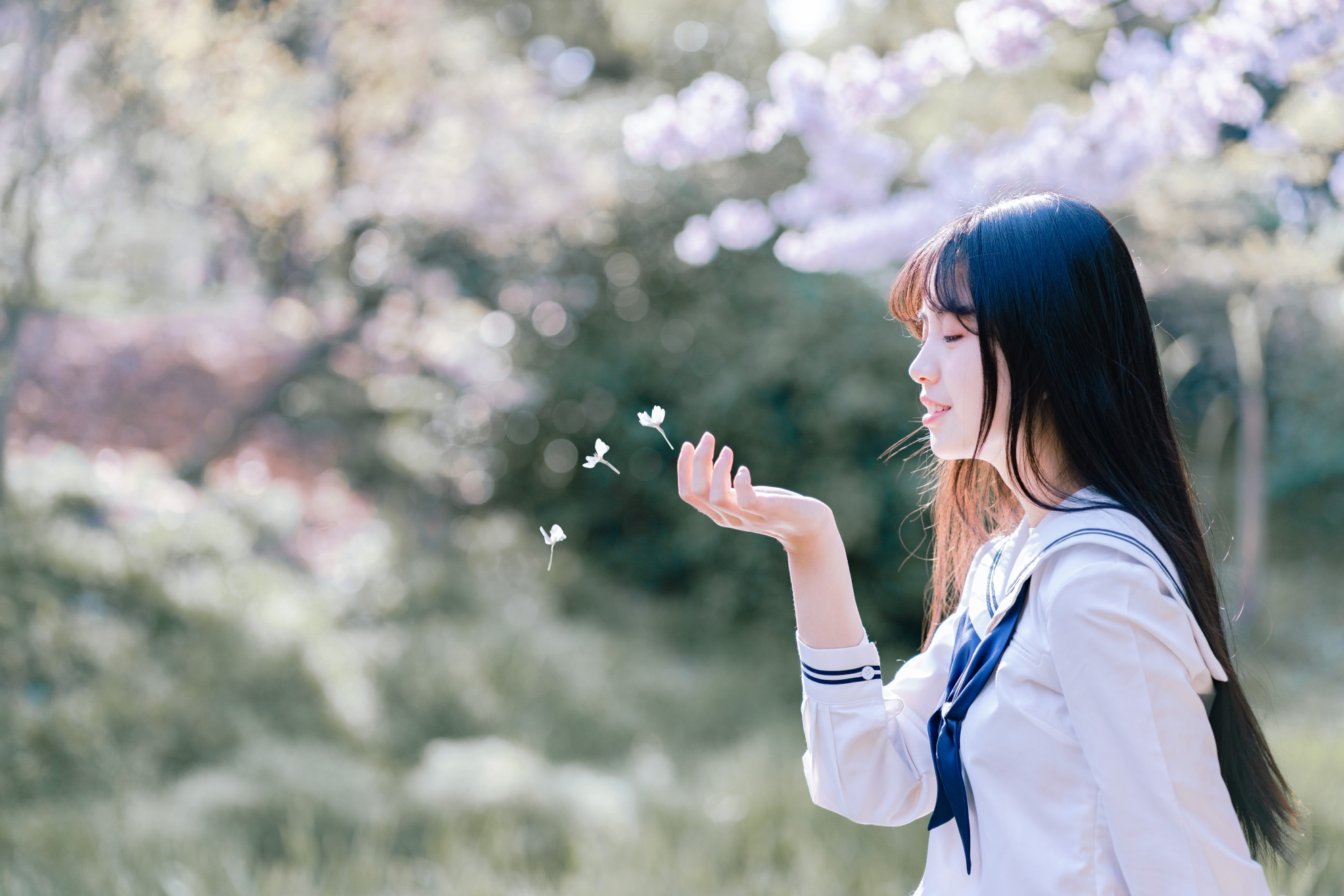 樱花味的少女,拥有初恋般的面孔