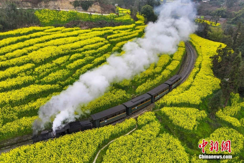 成都油菜花景点小火车图片