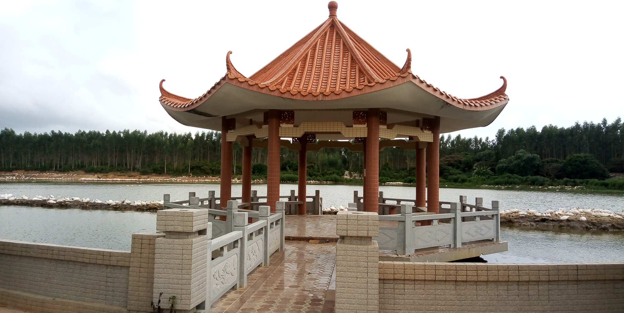 广东吴川市振文镇明村实拍,带你们去看看啦