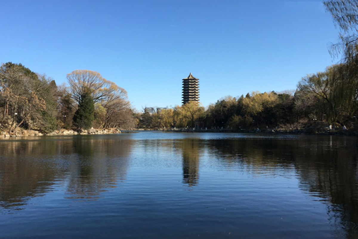 北京大学校园风景