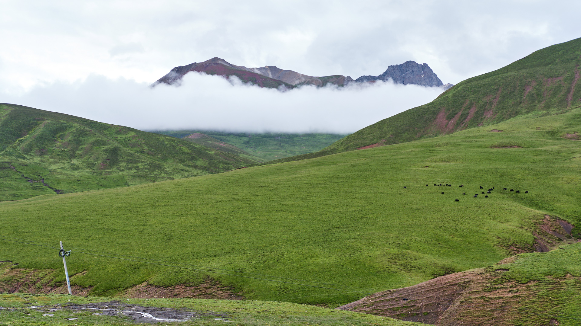 扁担舟旅行摄影专辑《琼布丁青,色扎乡的春》
