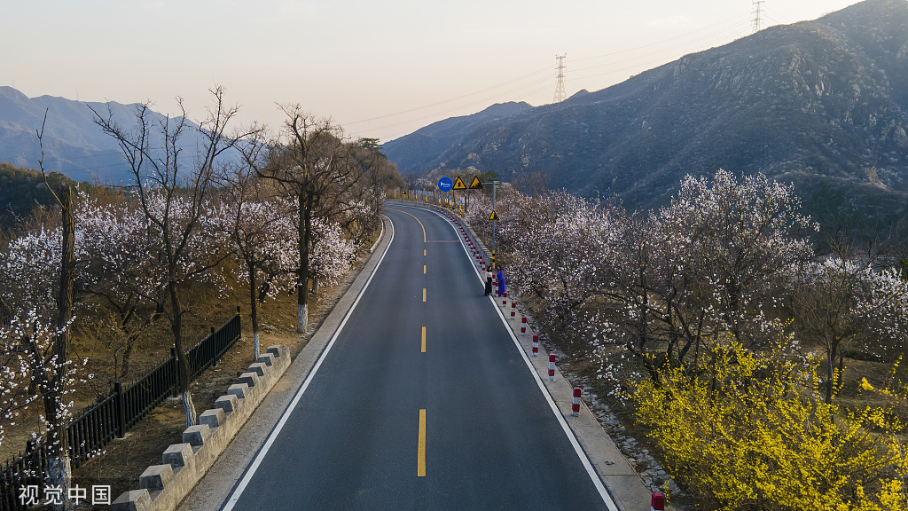 北京:京郊"最美公路"昌赤路繁花似锦 车辆如在花海中行驶