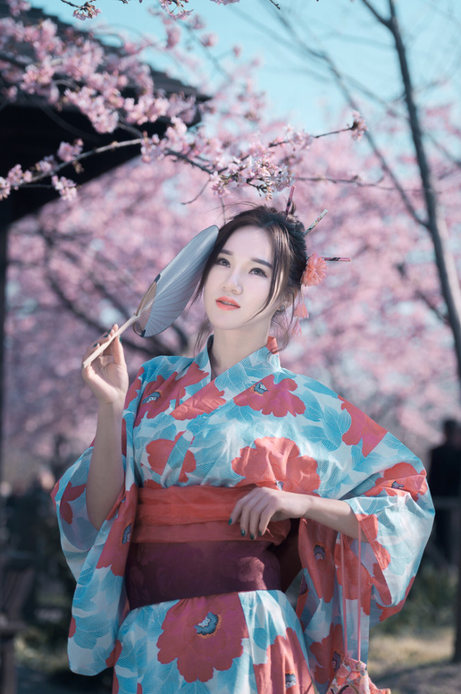 樱花树下的和服美女,明艳动人