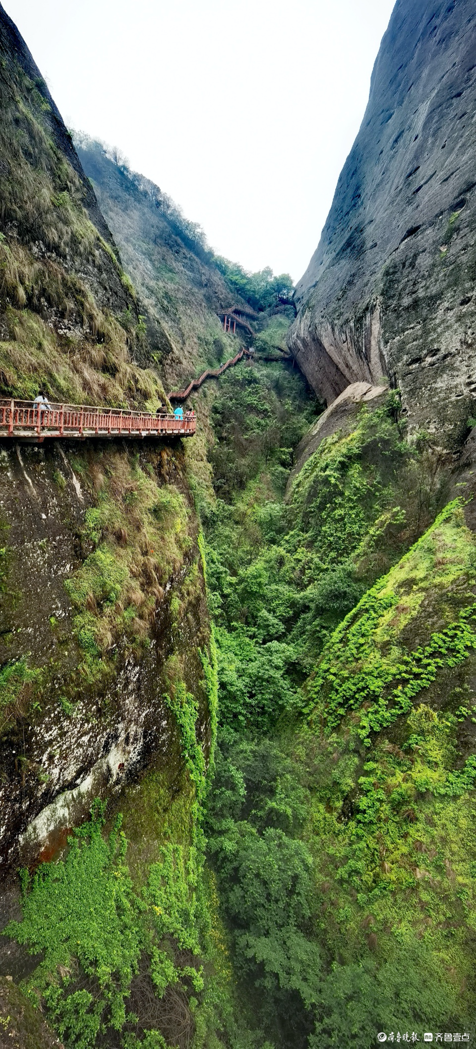 吉首湘西骆驼峰图片