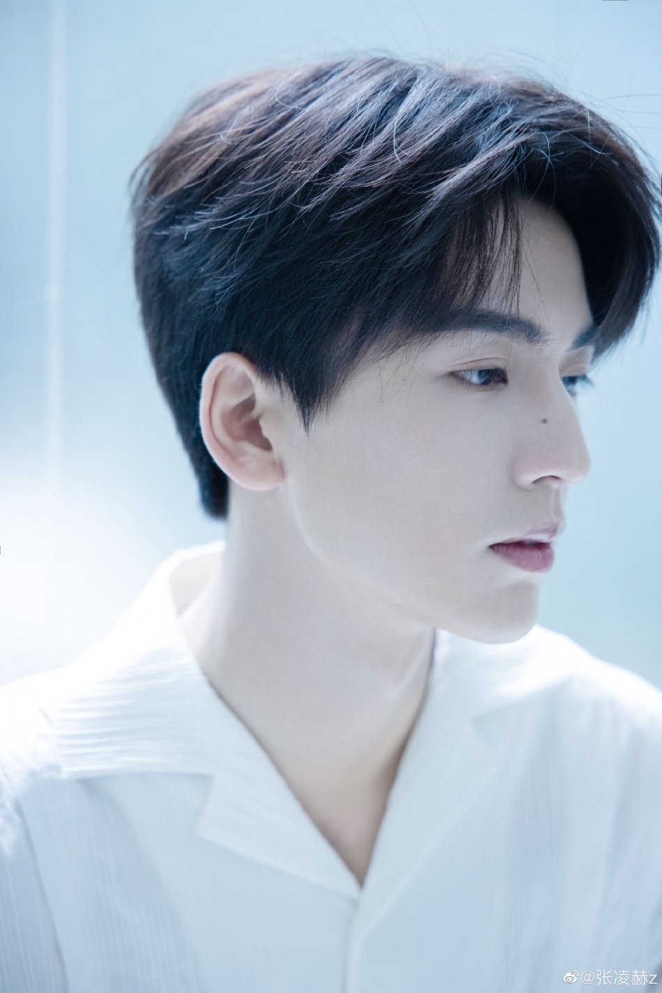 组图:张凌赫温柔白衬衣写真 眉目清澈尽显邻家男孩气质