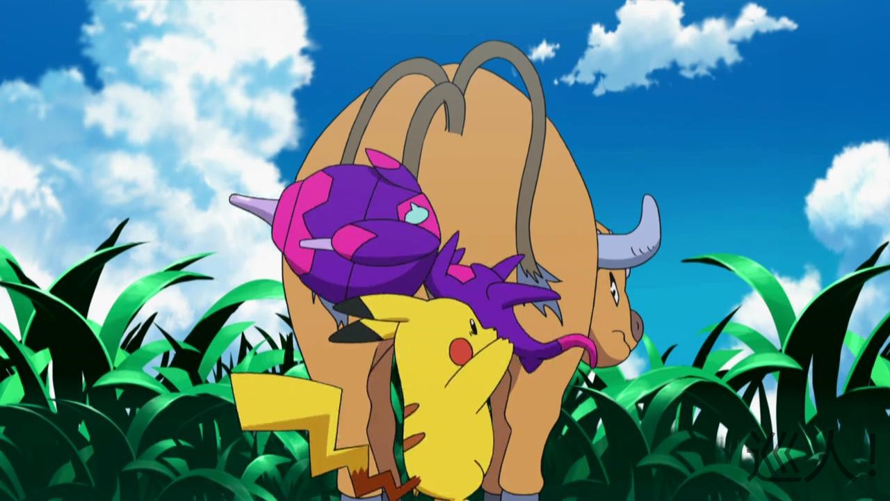 阿罗拉宝可梦 神奇宝贝之旅 宠物小精灵旅途 藏在口袋的口袋妖怪