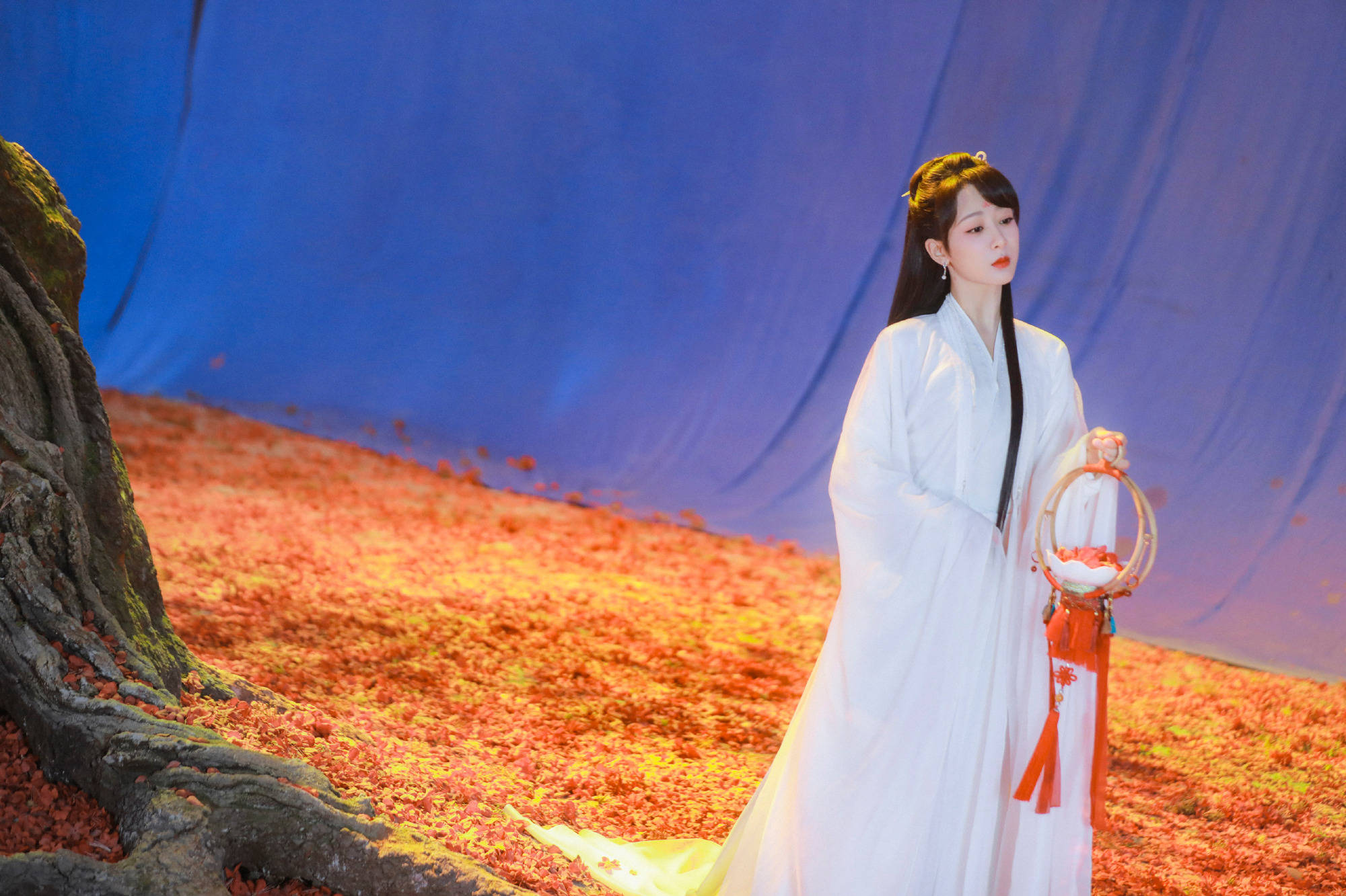 杨紫新剧杀青写真 手提花灯白衣飘飘仙气十足