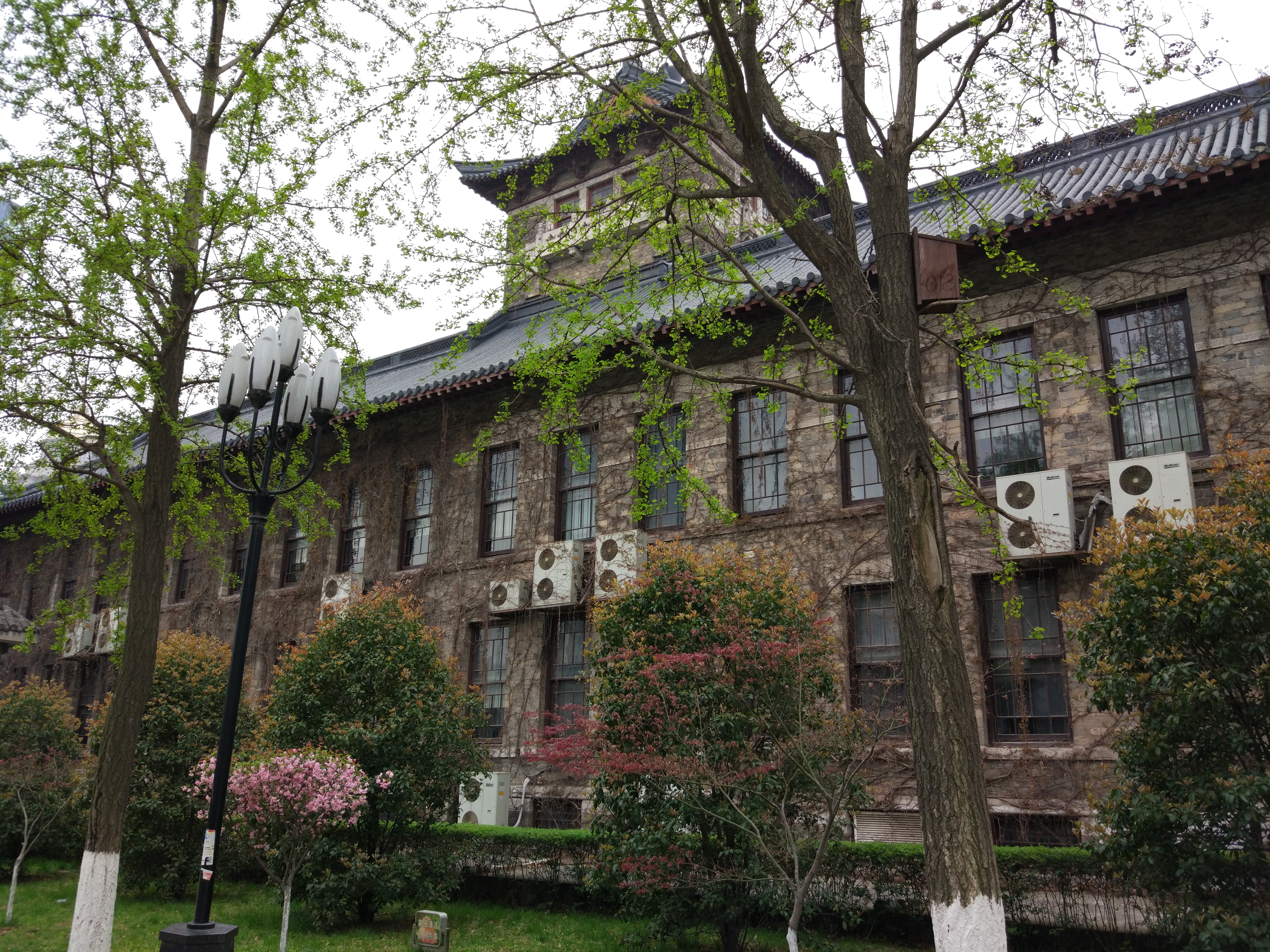 南京大学老校区图片