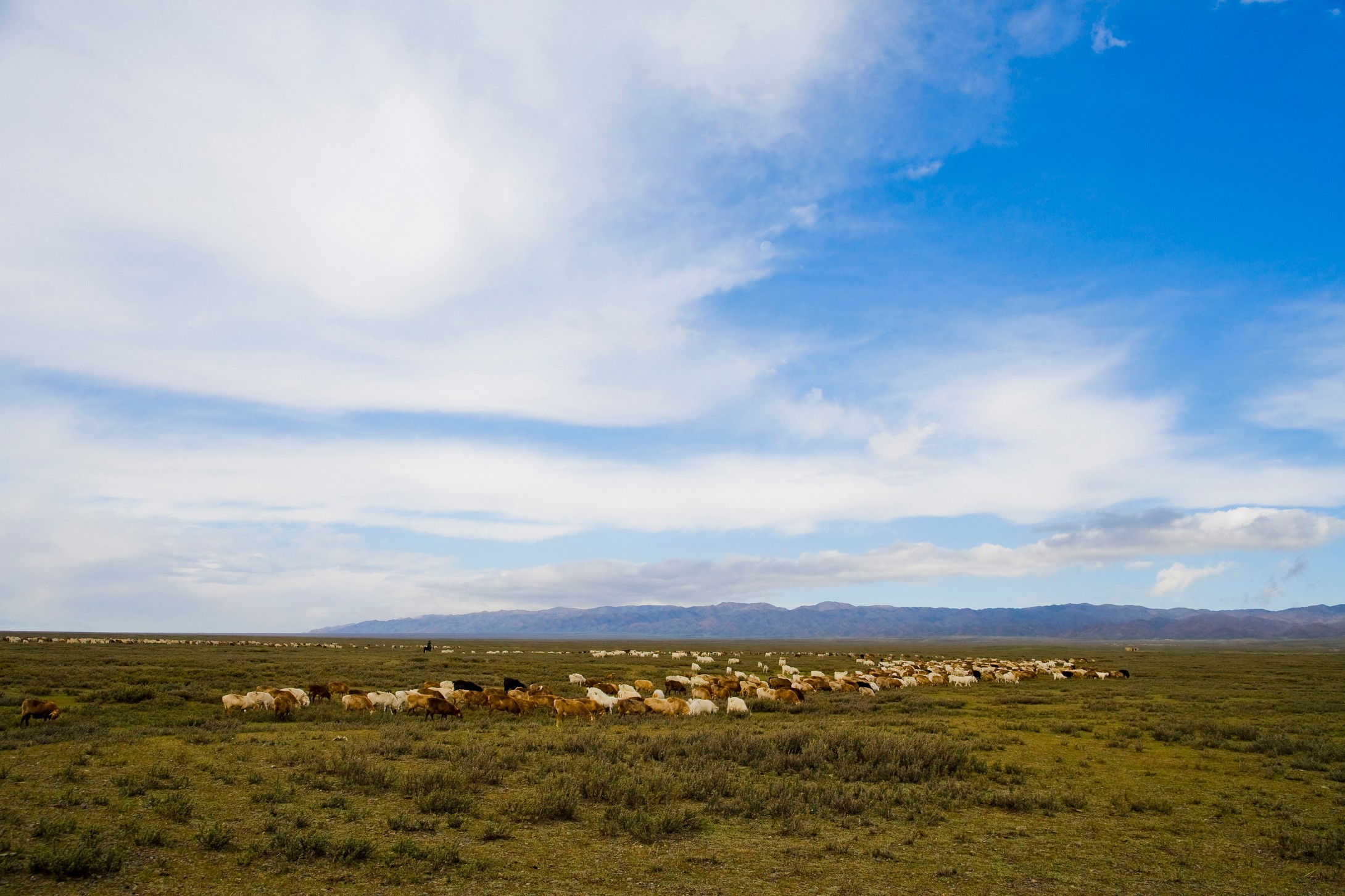 大美阿勒泰:充满西域文化风情的仙境