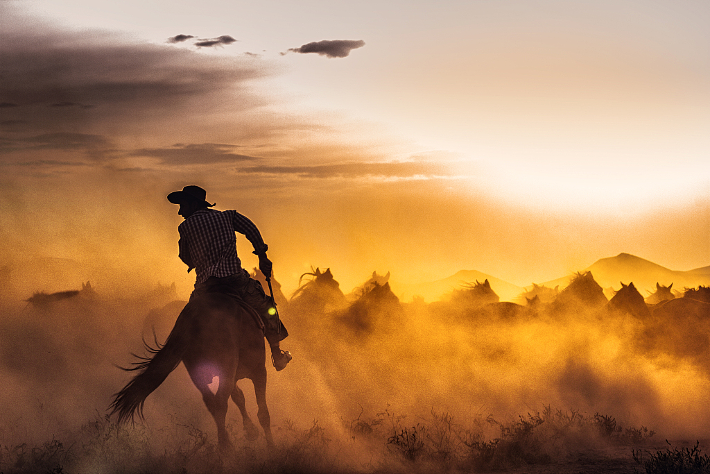 土耳其骑手落日余晖中策马扬鞭 尘土飞扬自带特效