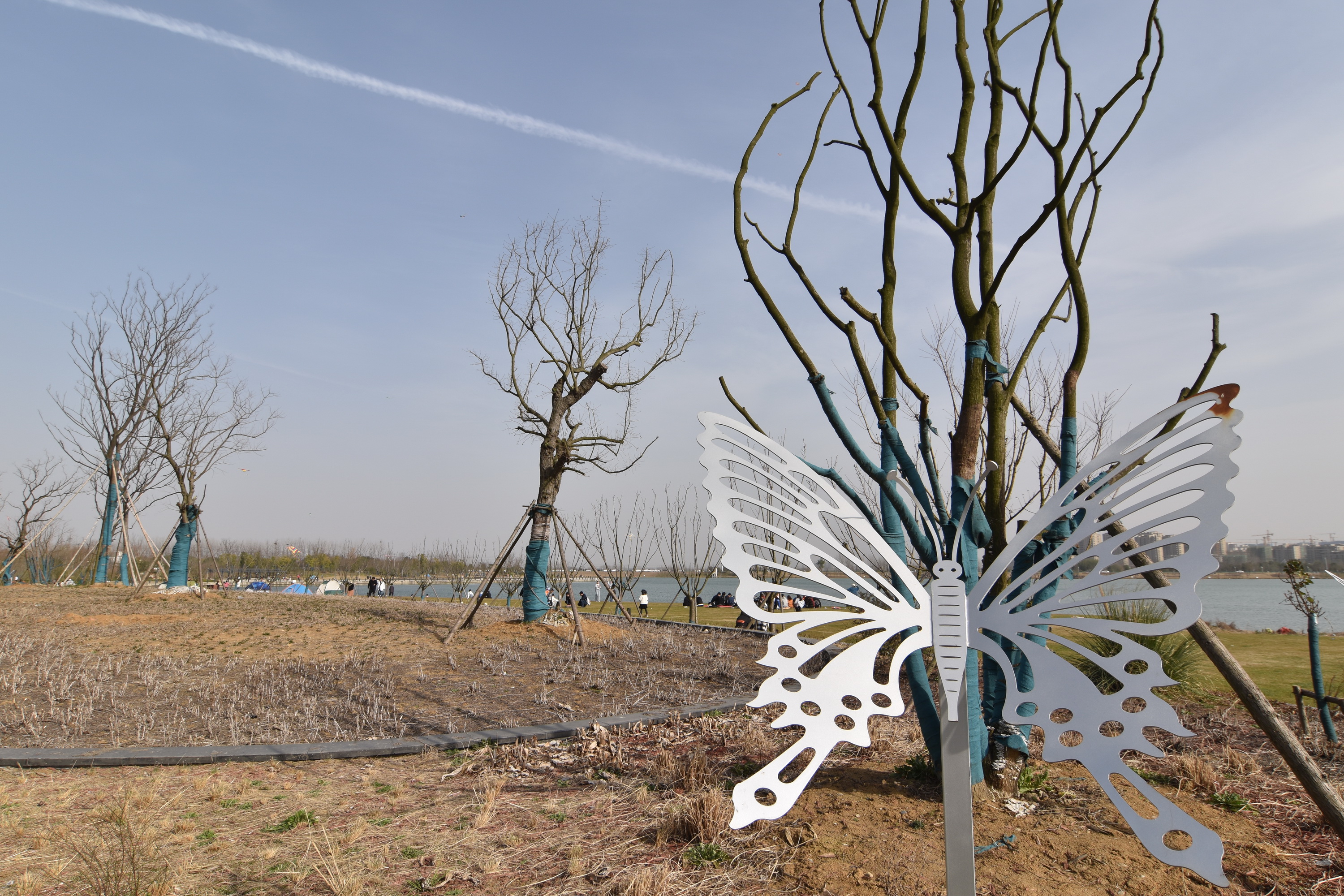 合肥市职教城少荃湖湿地公园(老郭冲水库)