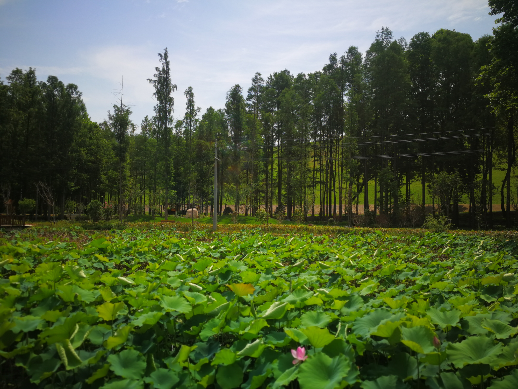 中华第一龙,麻城市明山水库——夏季自驾游好地方
