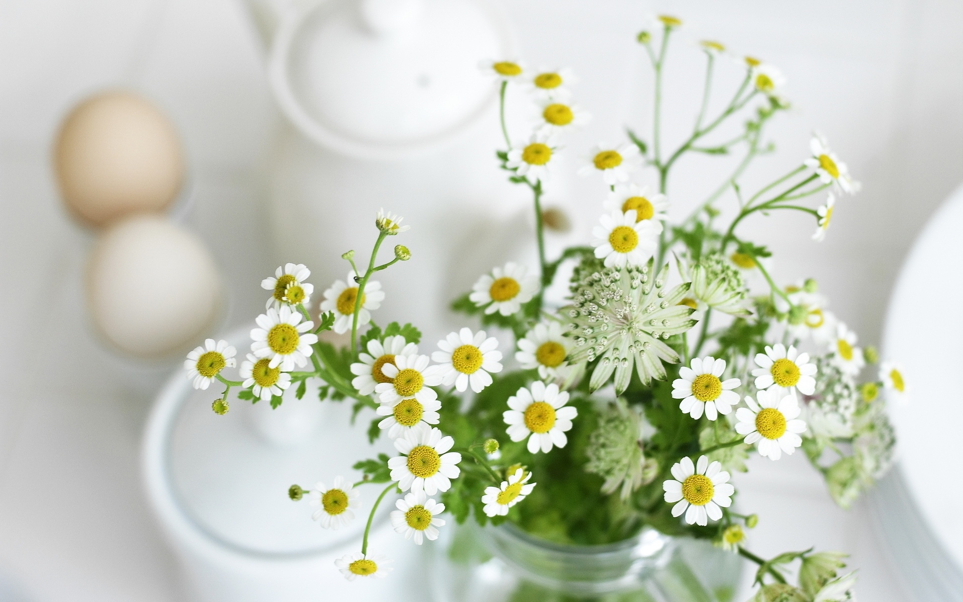 ins风花朵背景图