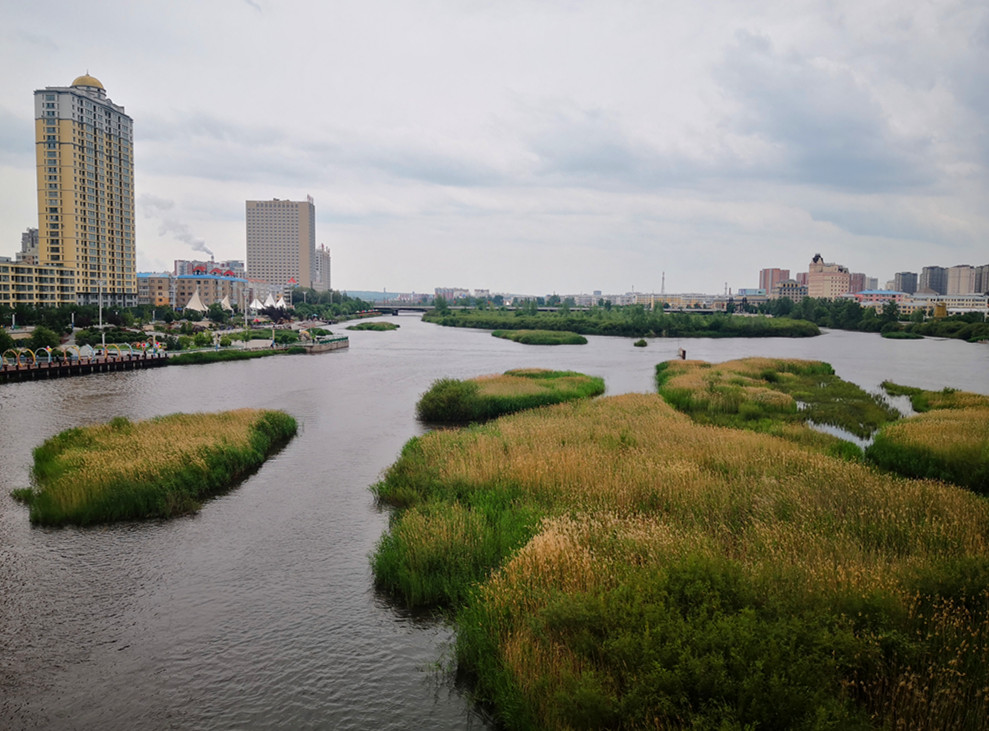 海拉尔伊敏河风光