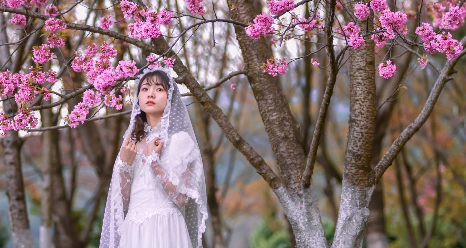 女孩摄影:在桃花树下