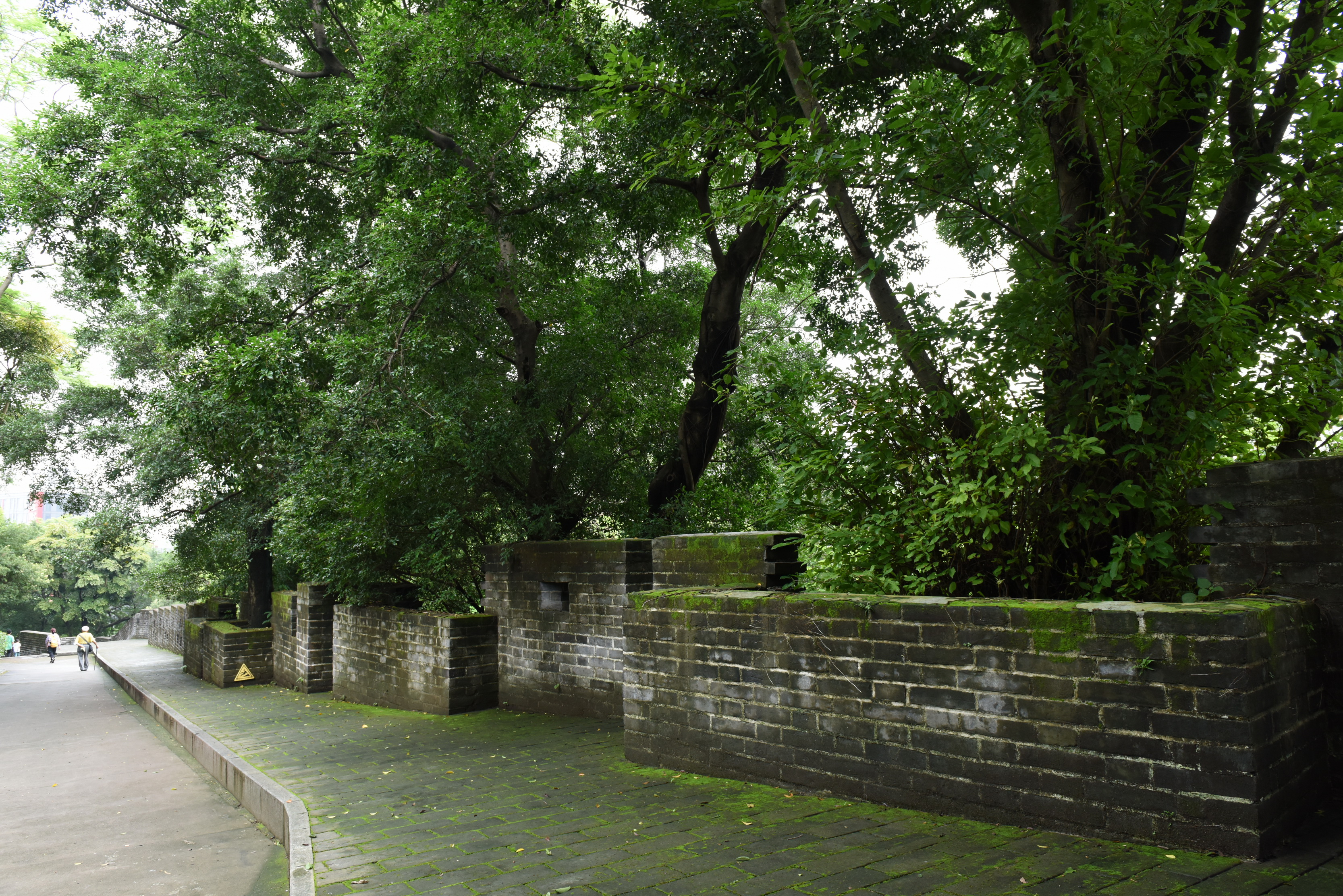 广州市越秀公园内古城墙