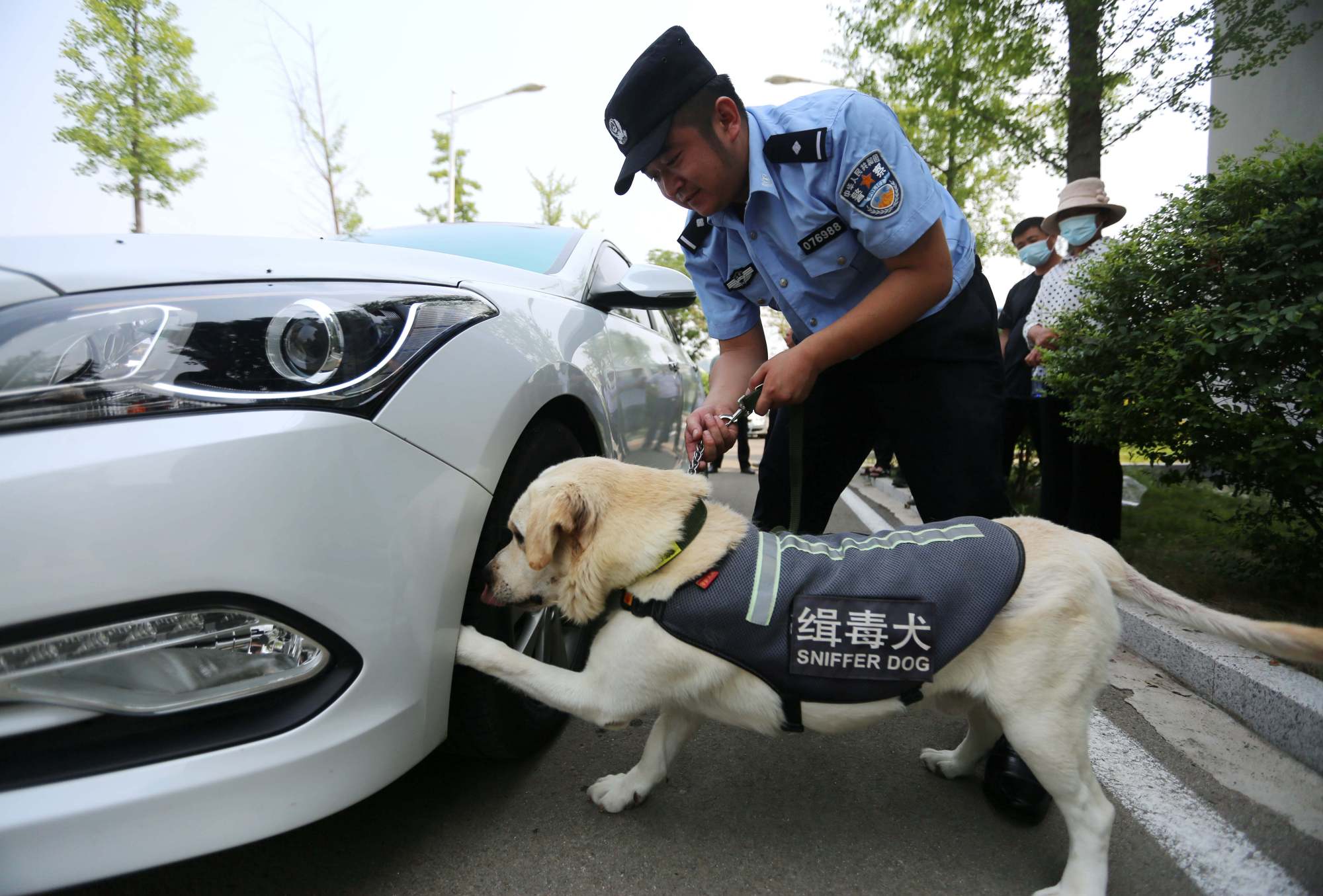 缉毒警犬亮身手