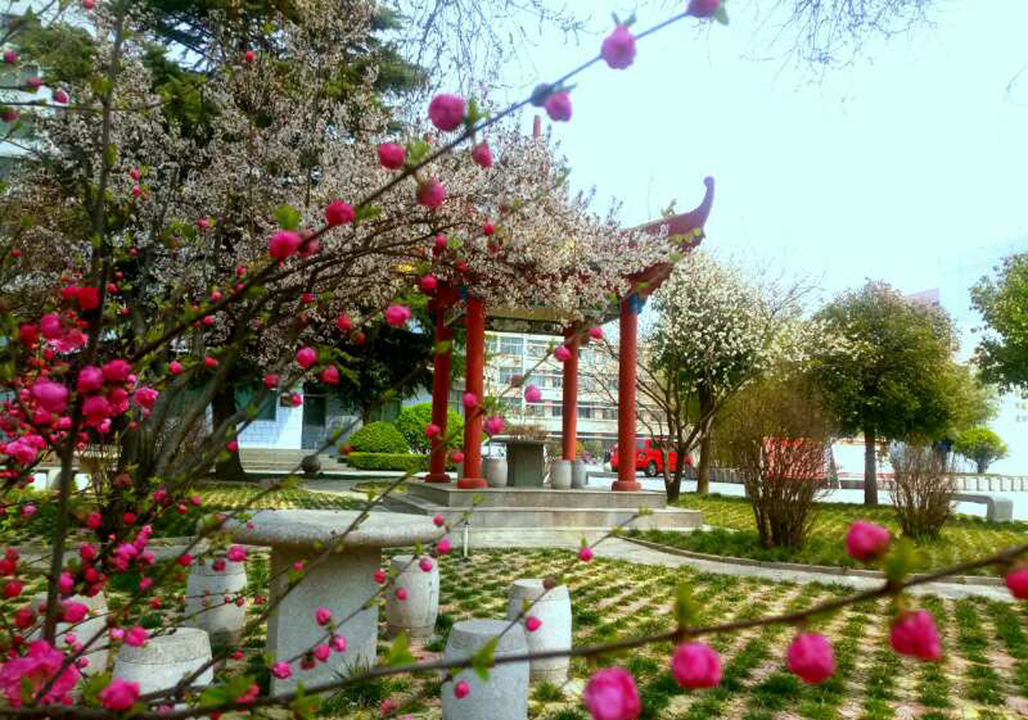 临沭县实验中学:美丽校园,我的家