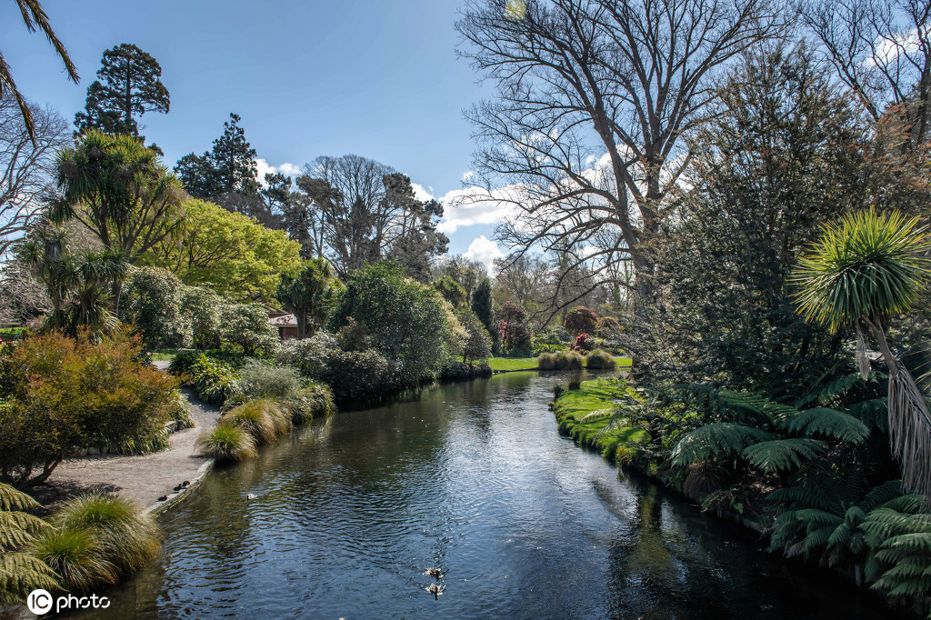 新西兰基督城植物园:英式园林风光这边独好