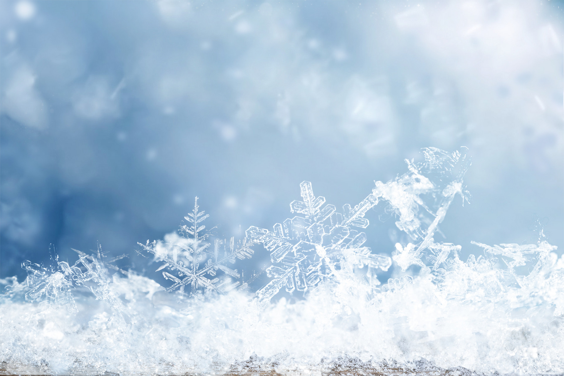 咏雪,大雪小雪又一年