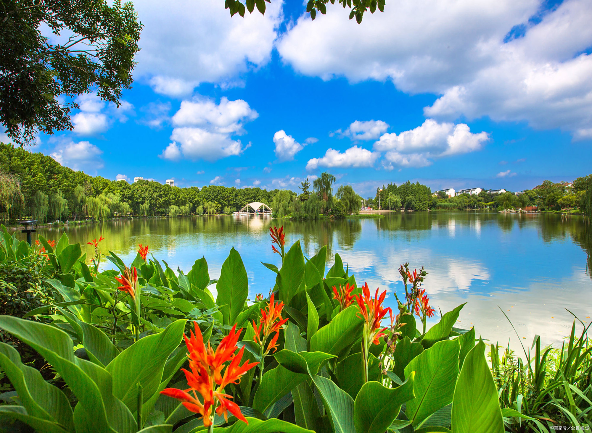 江边风景"日出江花红胜火,春来江水绿如蓝"——唐代:白居易