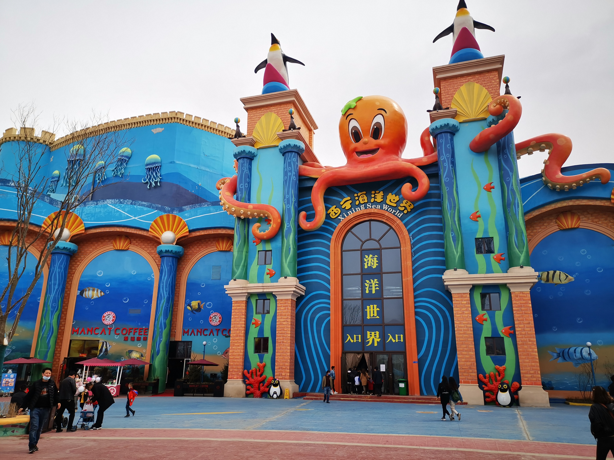 全球海拔最高的海洋馆:就在青海西宁,不去海边就能看到海底世界