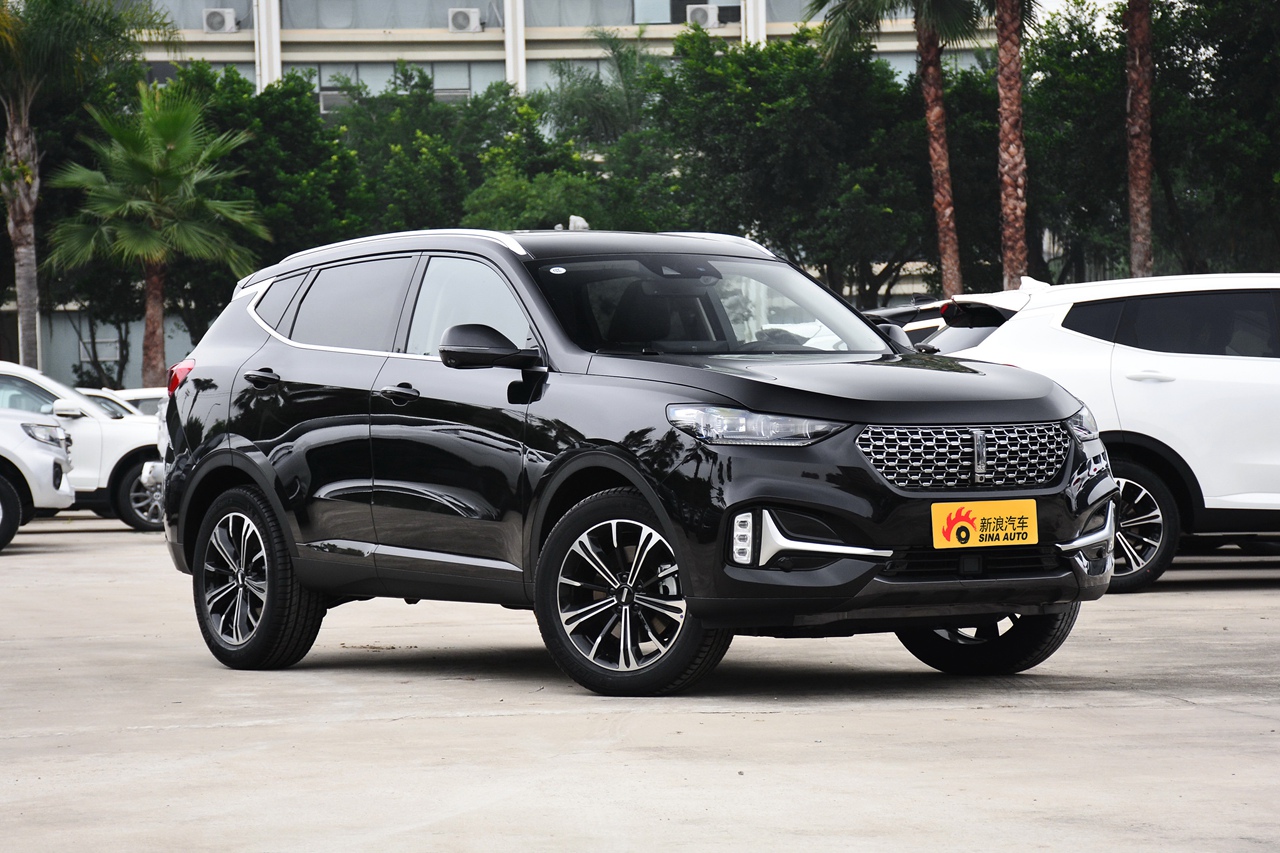 2021款wey vv6 2.0t两驱智享