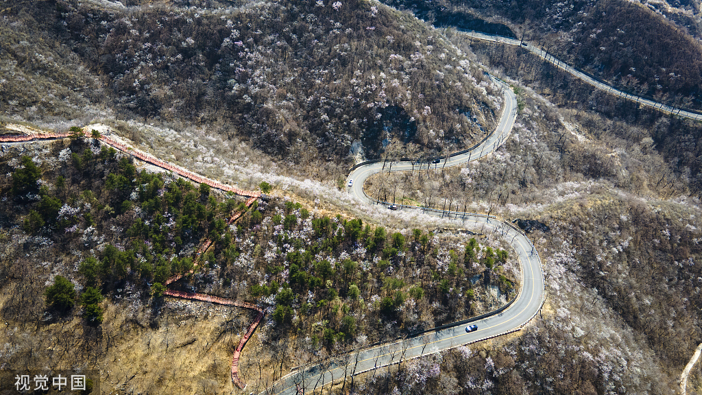 北京:京郊"最美公路"昌赤路繁花似锦 车辆如在花海中行驶