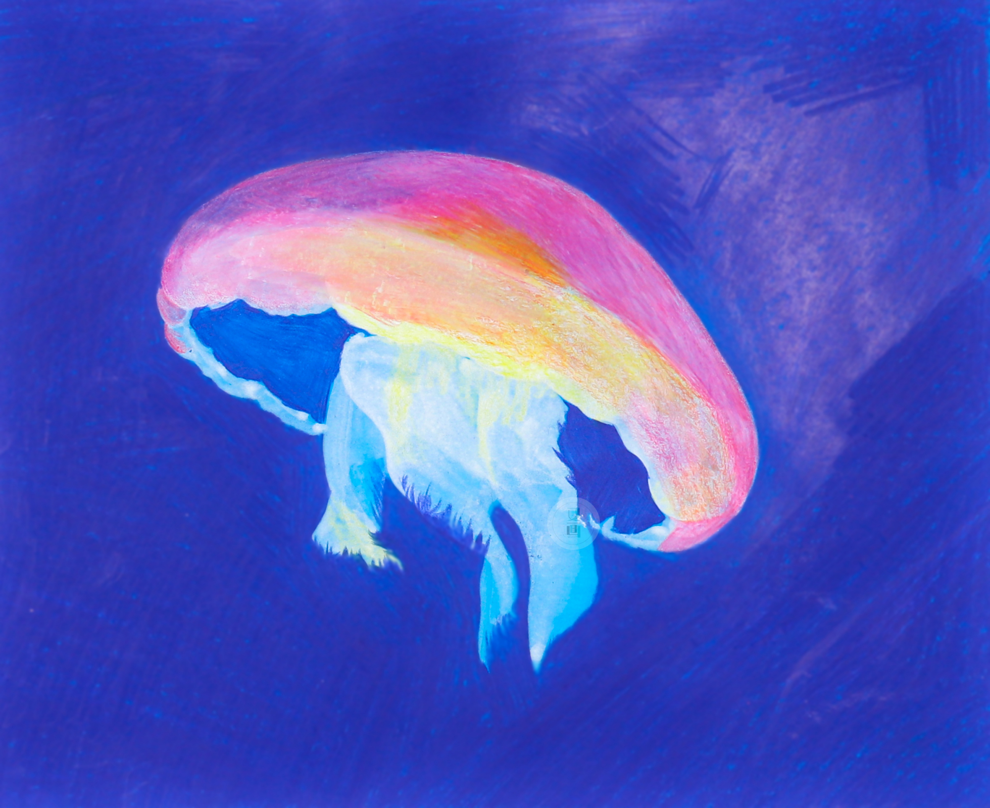 彩铅 水母系列 合集