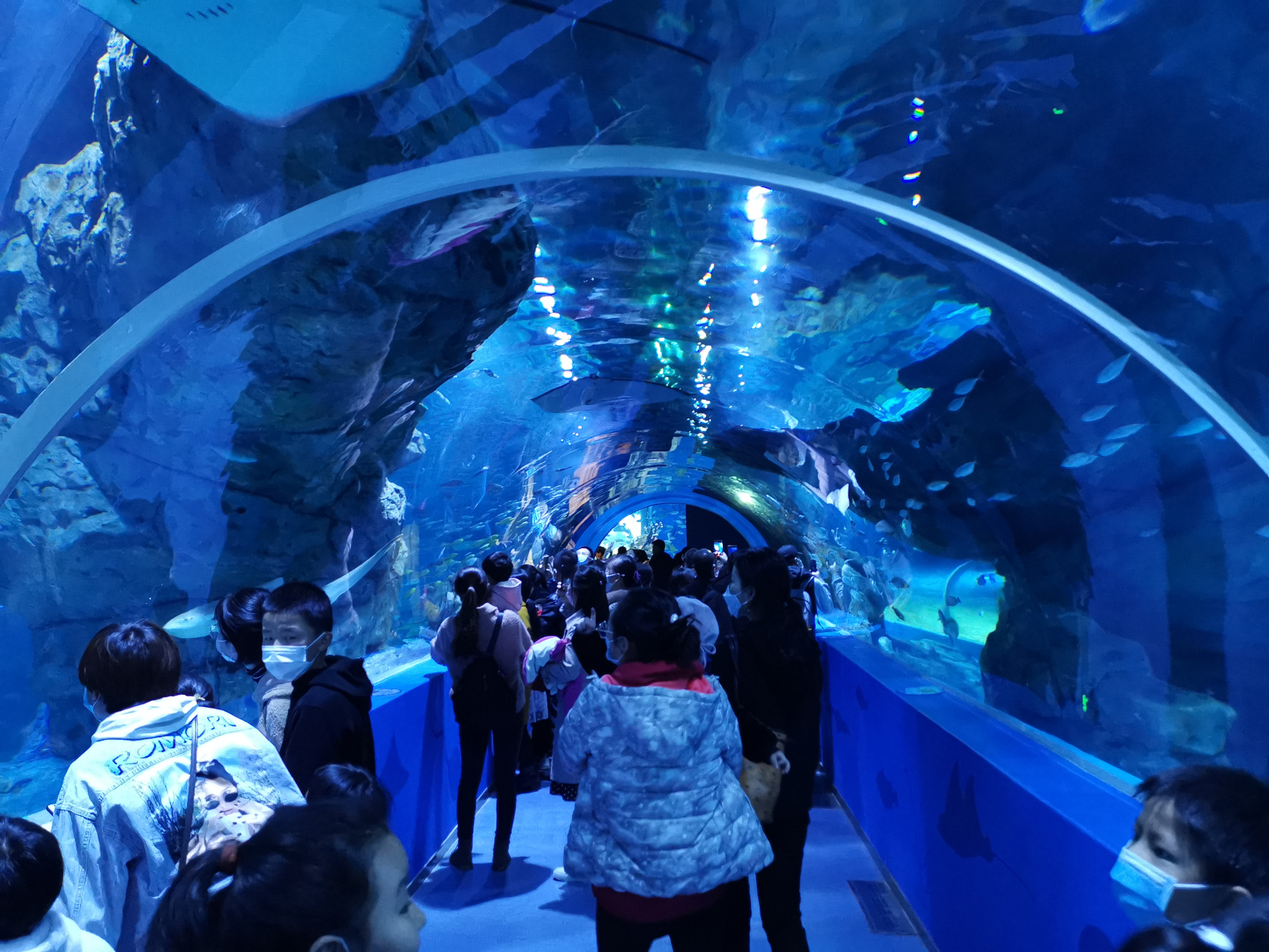 全球海拔最高的海洋馆:就在青海西宁,不去海边就能看到海底世界
