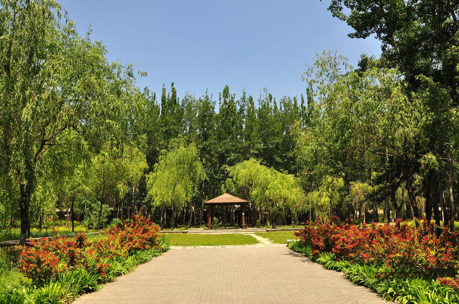 北京黄草湾郊野公园风景