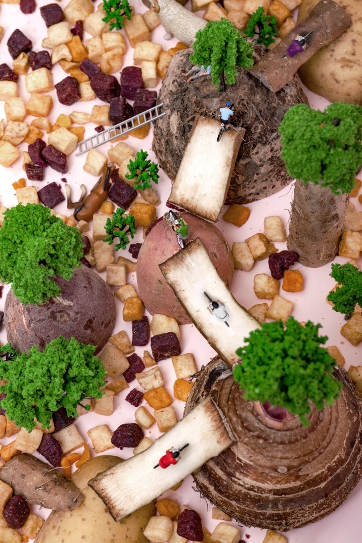 微缩世界_小零食