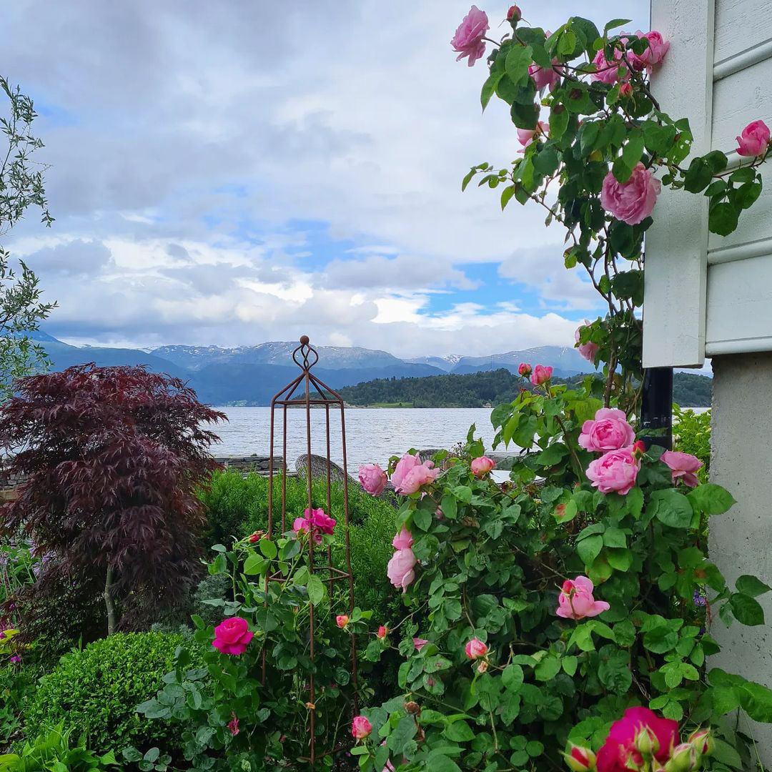 挪威小镇童话般的花园