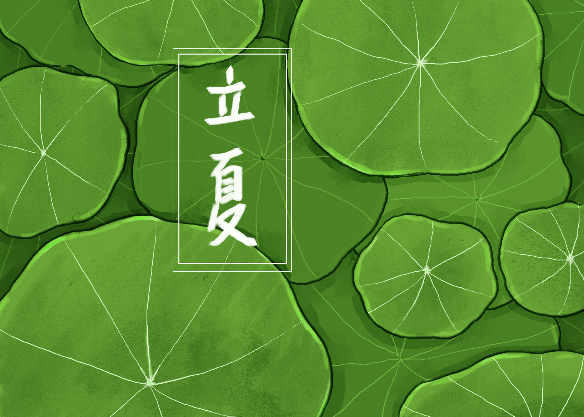 立夏,作别春光,送你一季清凉!