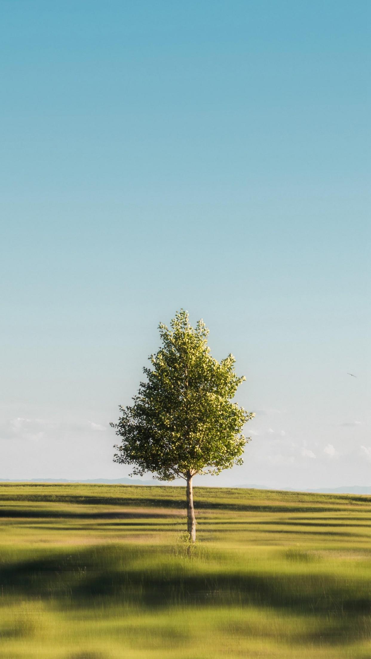 华为手机壁纸 锁屏杂志订阅(51/150)