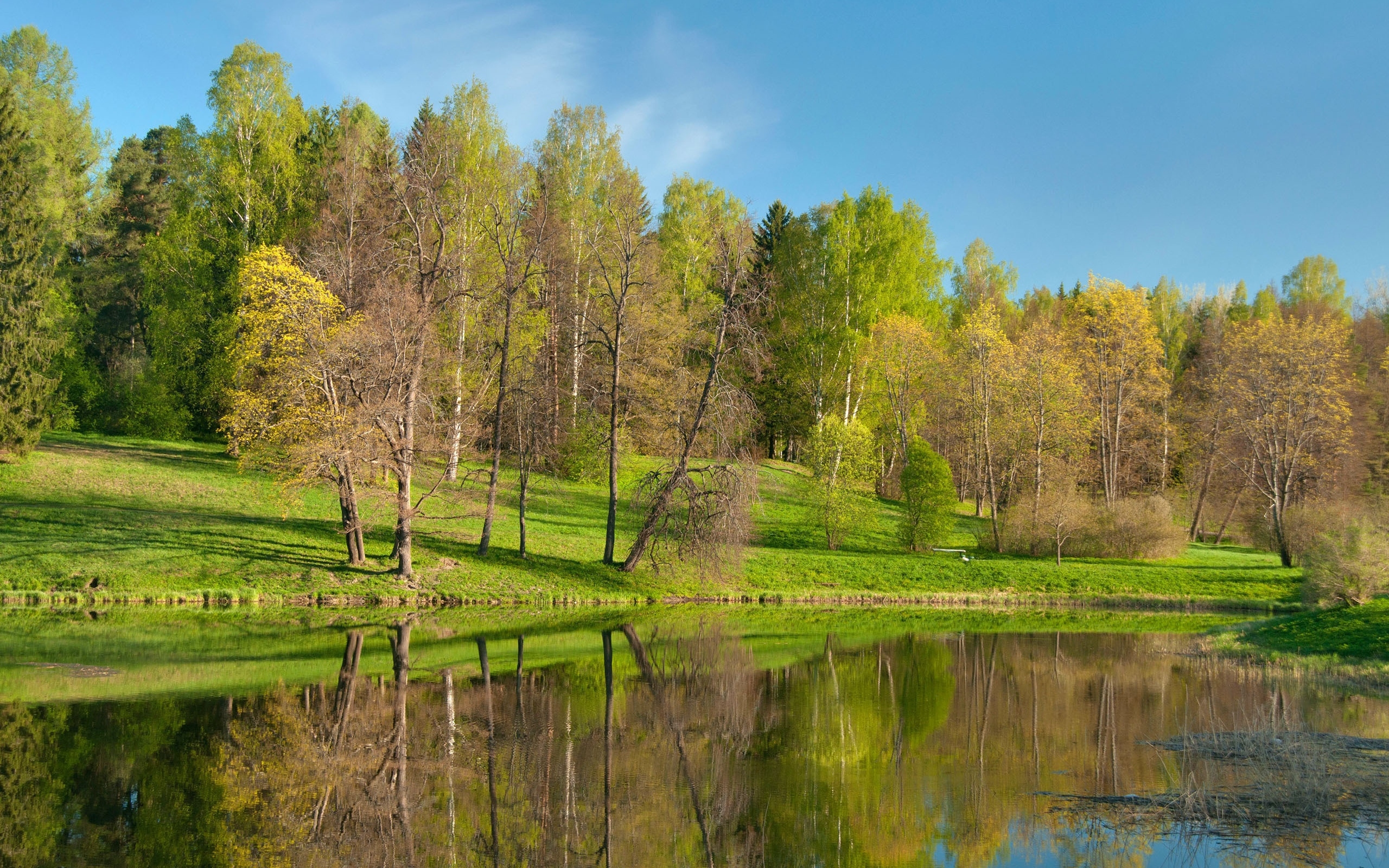 自然秀丽河流风景matepad pro壁纸