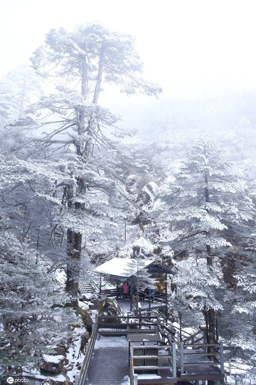 大寒节气 云南昆明禄劝轿子雪山现绝美雪景