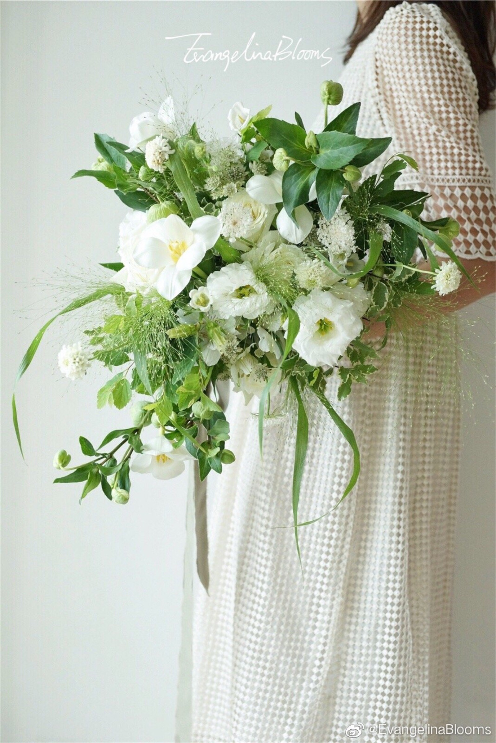 小清新花草壁纸图片