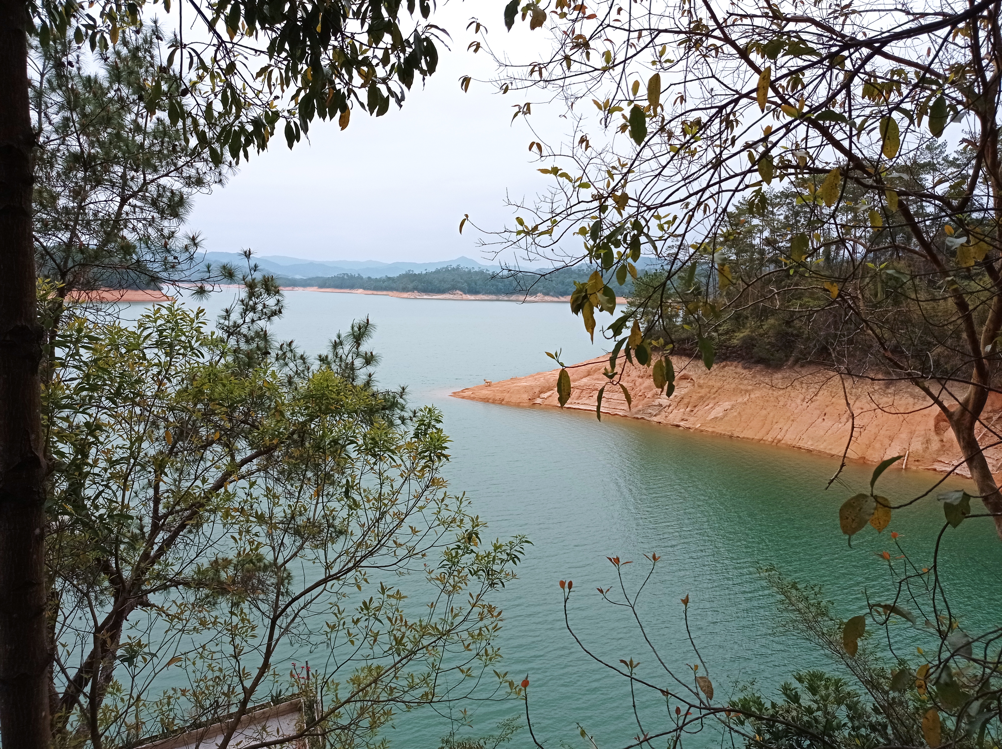 广州流溪河水库公园