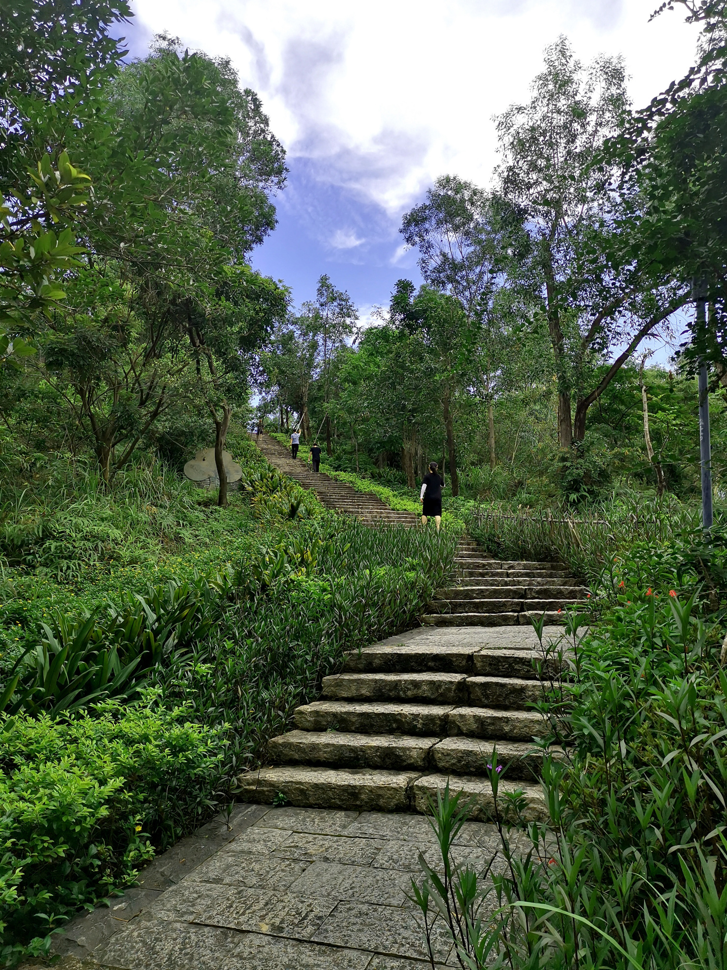 早晚休闲健身好地方,深圳龙岗区龙城公园