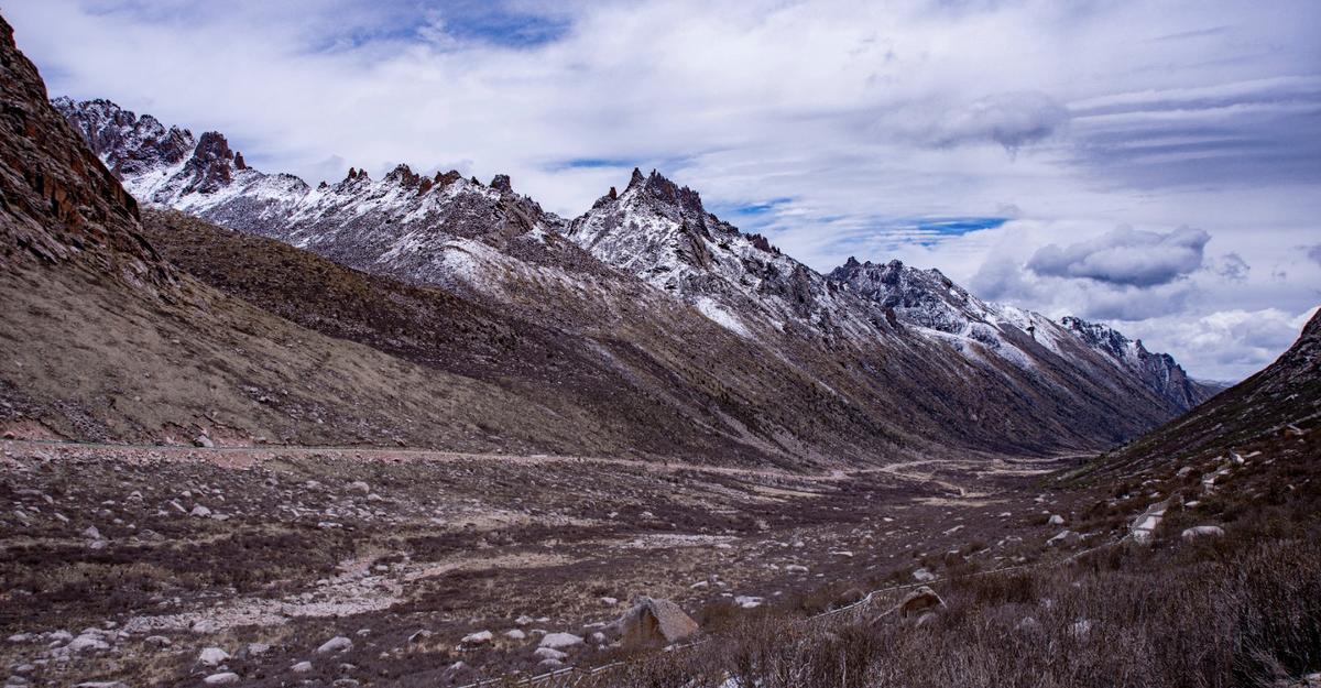 石头城莲宝叶则