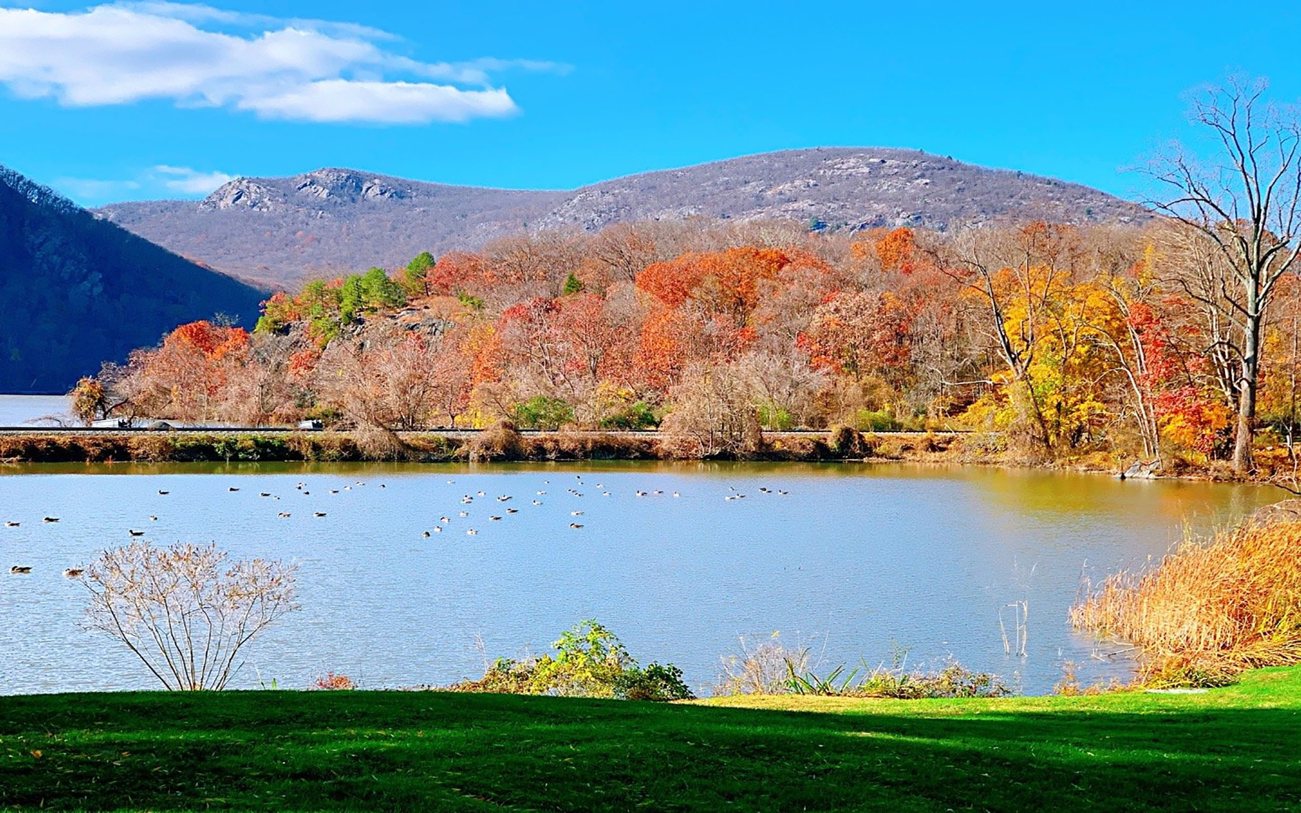 秋天的翠湖图片
